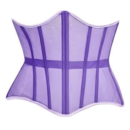 Mesh Lace Up Underbust Corset Belt For Women