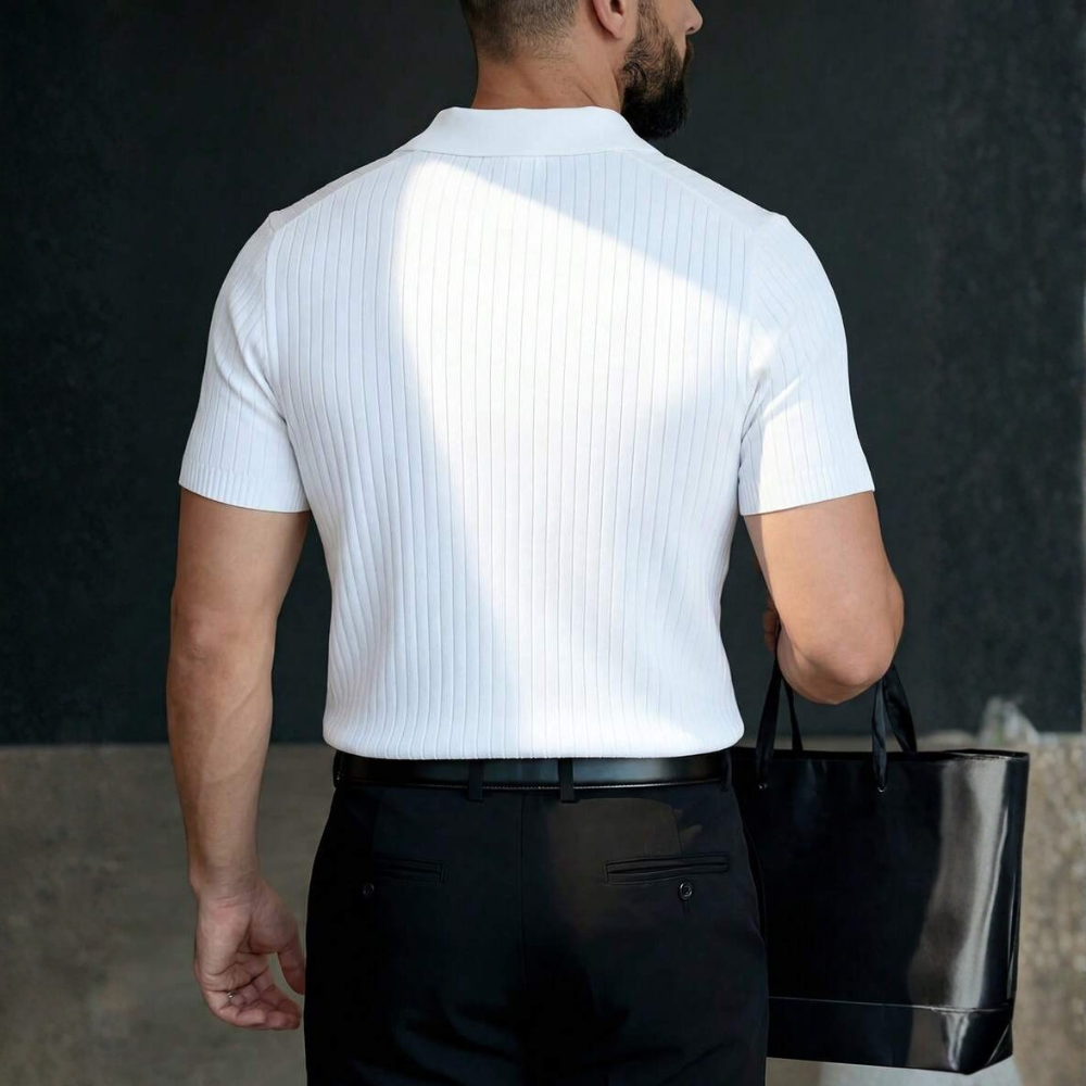 Striped Seagull Collar Short Sleeve Polo Shirt