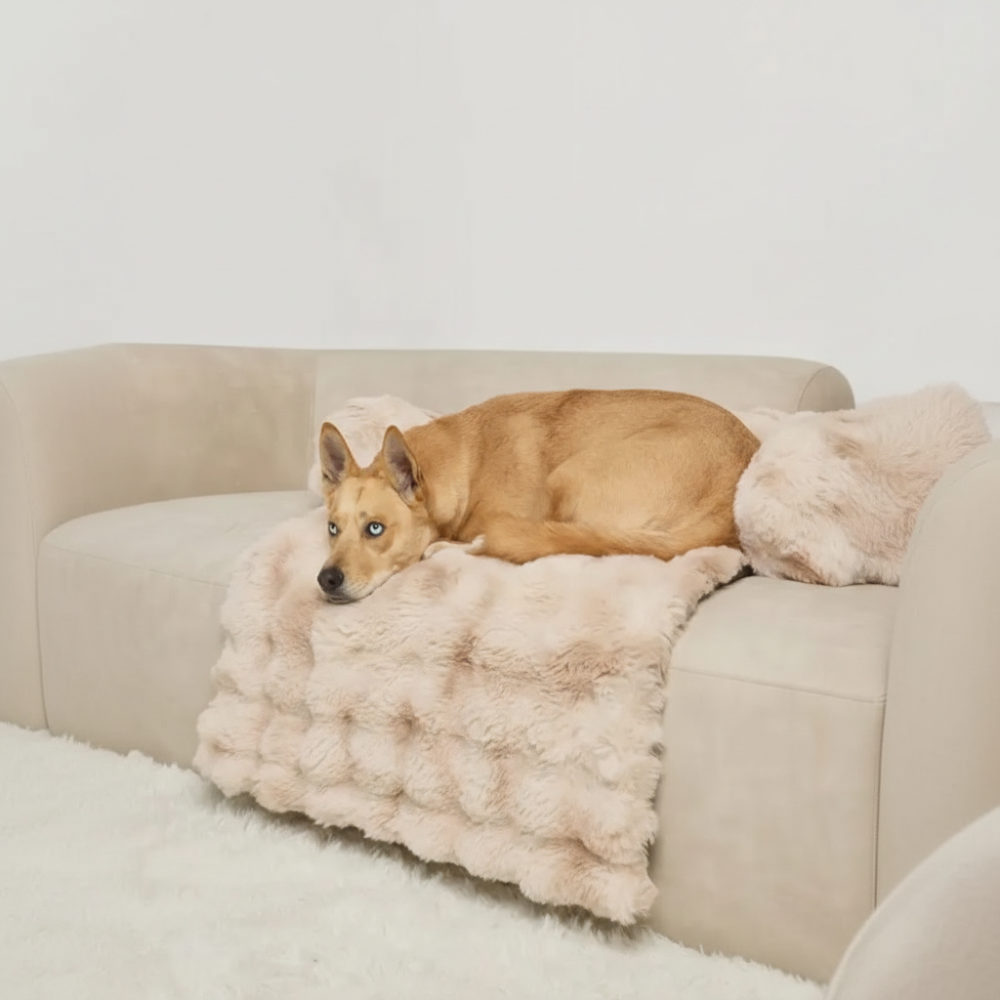  Dream Cloud Pet Sofa BedPlush Cloud Sofa Style Pet Bed - Image 3