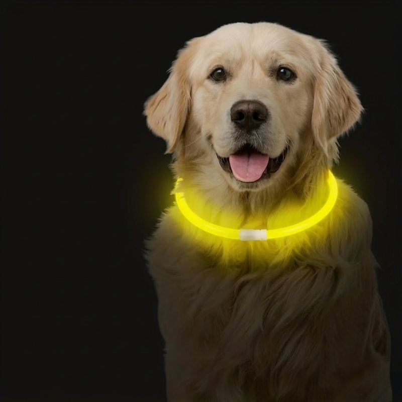 Adjustable Dog Collar for S to L Dogs with Waterproof and Rechargeable — size comparison