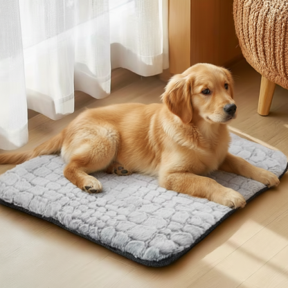 Extra Warm Thermal Dog Bed Mat