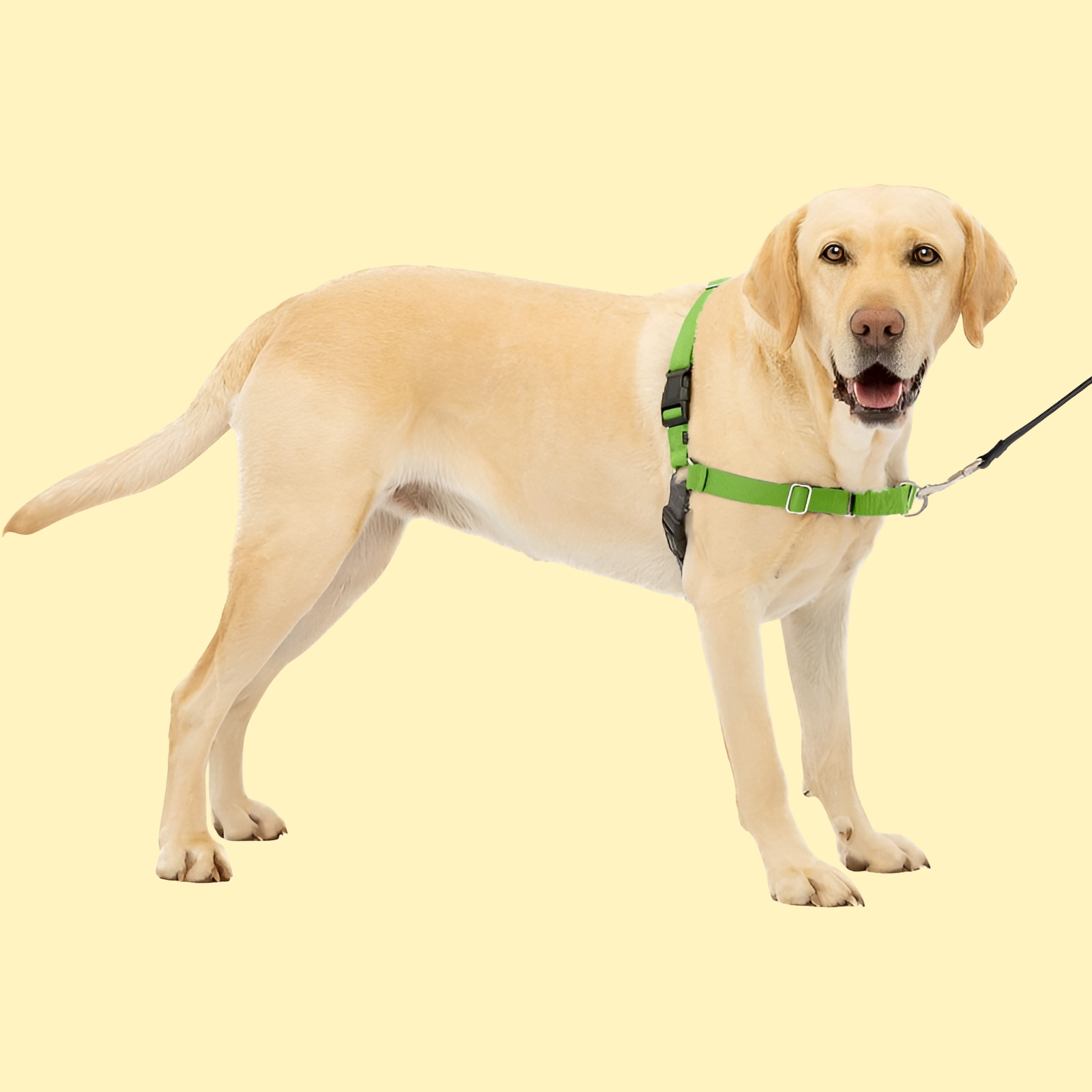 Easy Walk Dog Harness - Adjustable With No Pull Training Harness