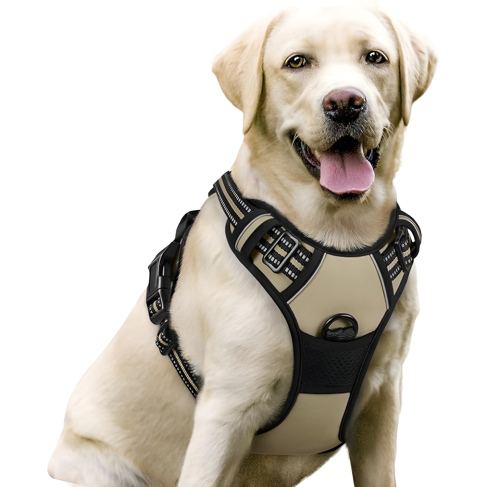 Dog Harness No Pull with 2 Leash Clips