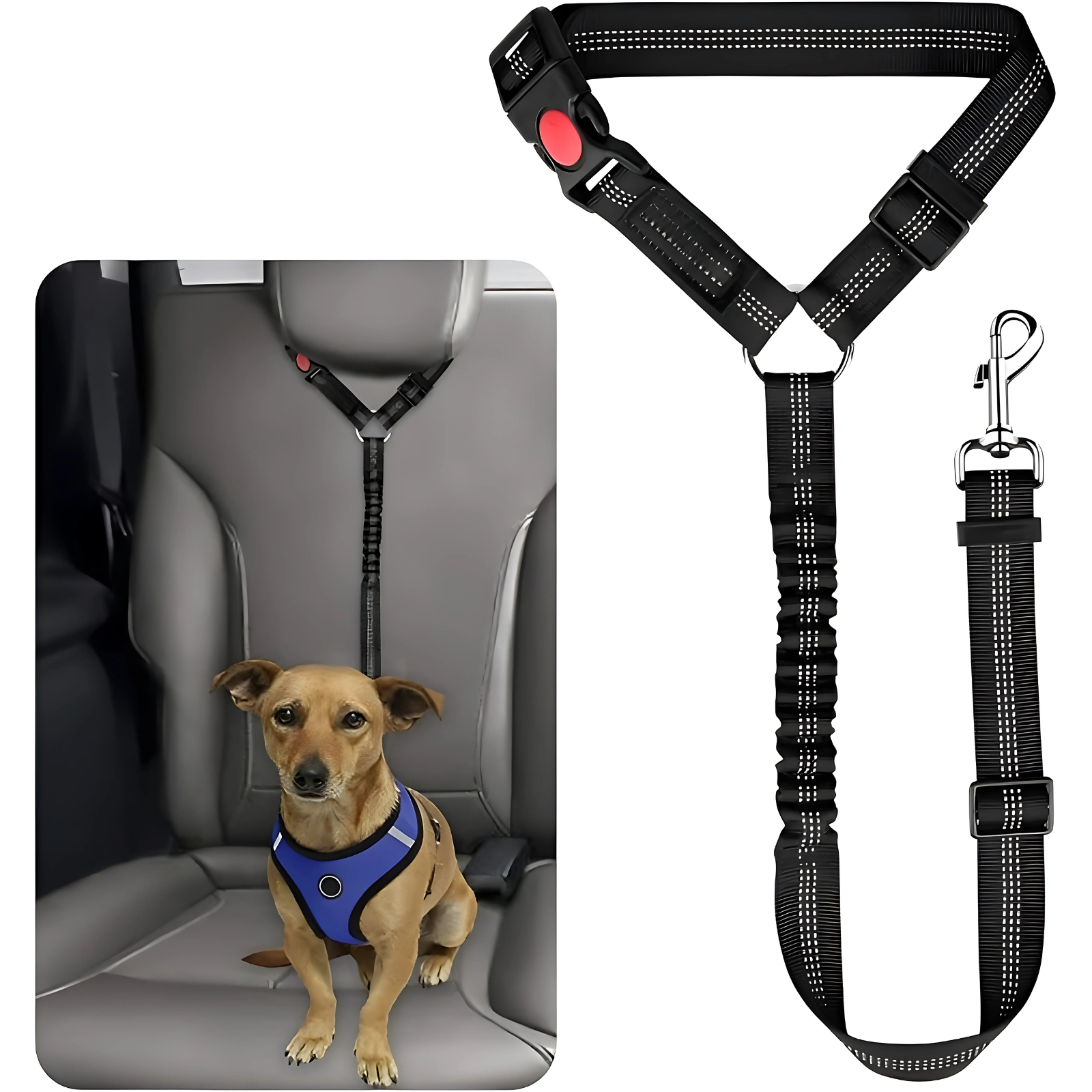 Pet Dog Cat Elastic Seat BeltsPet Dog Cat Elastic Seat Belts - Image 2