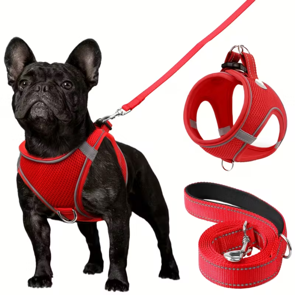 Adjustable Dog Harness With Leash Set And Reflective TrimAdjustable Dog Harness With Leash Set - Image 4