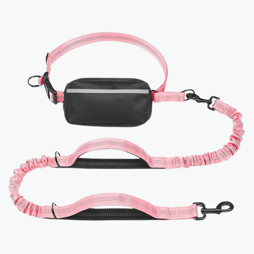 Hands Free Dog Leash With Zipper Pouch
