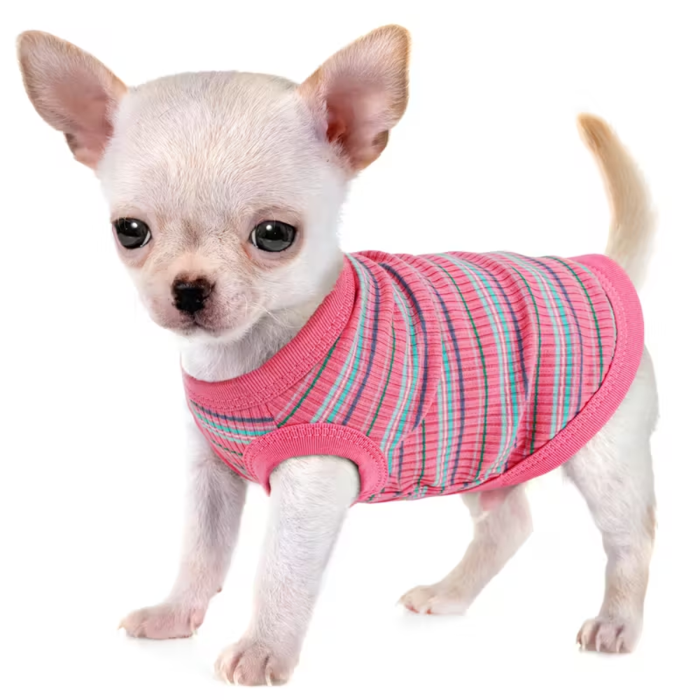 Paiaite Soft Ribbed Dog VestStriped Vest Sleeveless Ribbed Tank Top For Small Dogs - Image 3