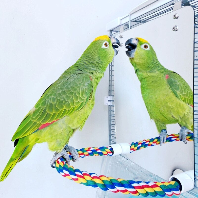Stainless Steel Bird Swing Toy for Parrots Cockatiels and Budgies with Lightweight — view 7