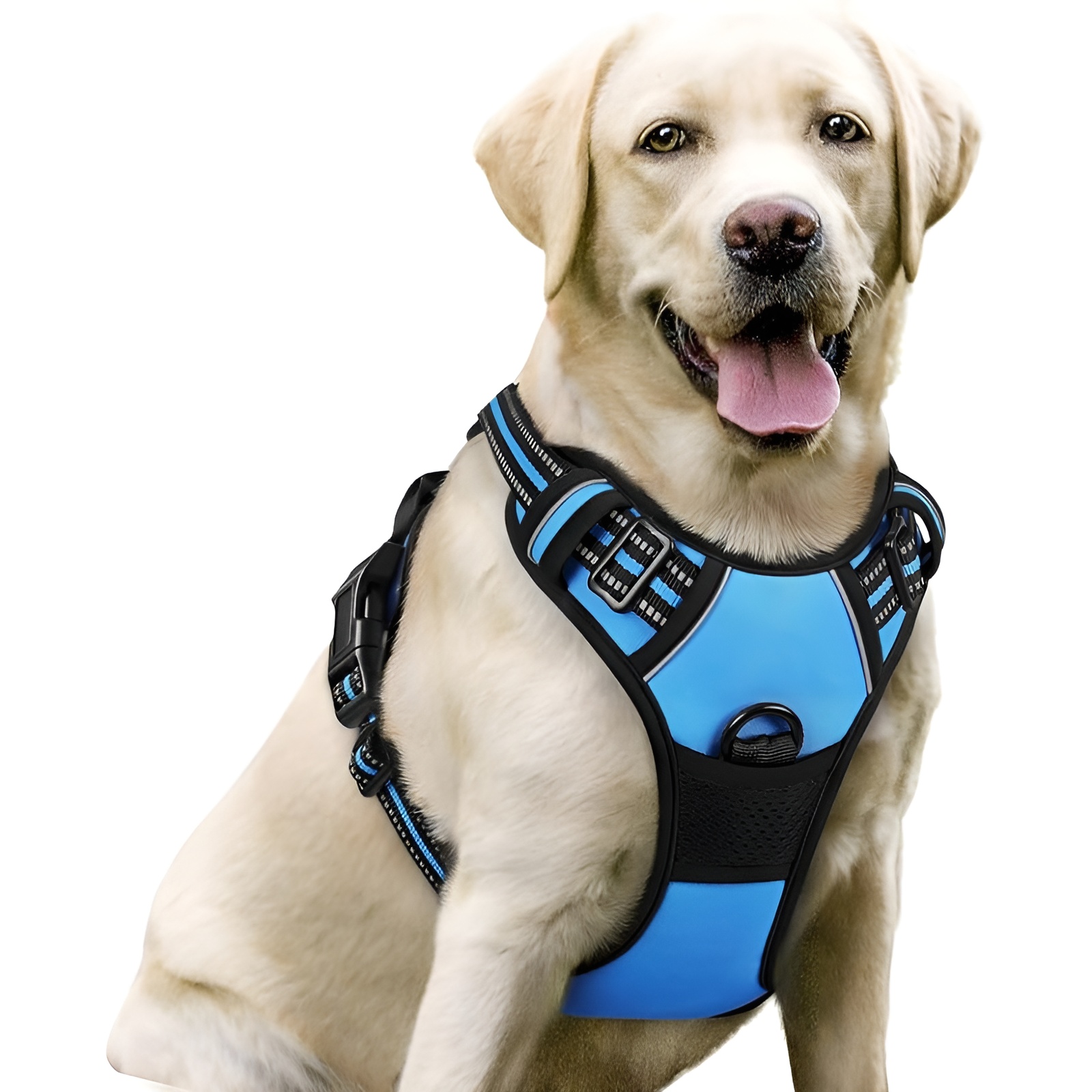 Dog Harness No Pull with 2 Leash ClipsDog Harness No Pull With 2 Leash Clips - Image 3
