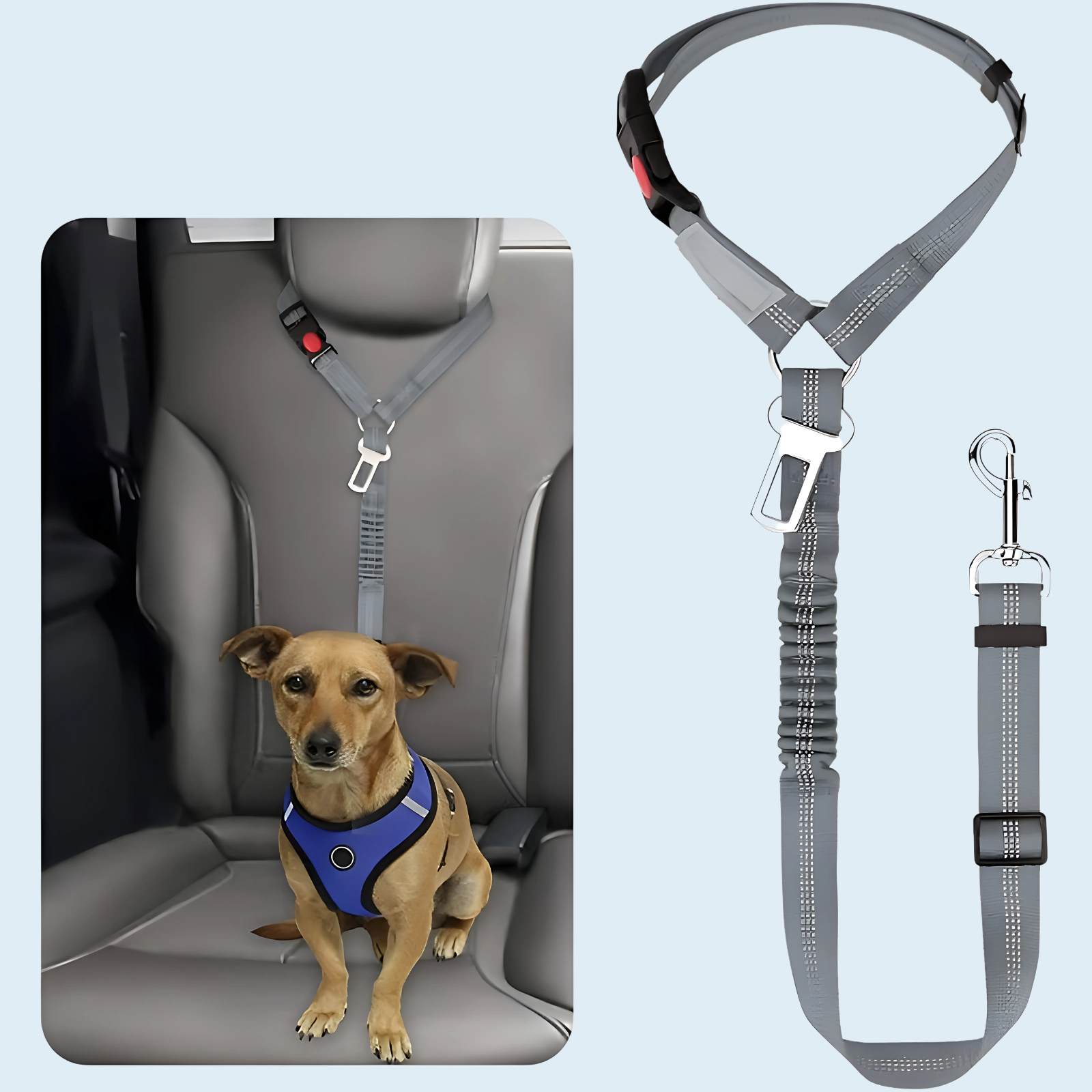 Elastic With Buckle Pet Dog Cat Seat Belt