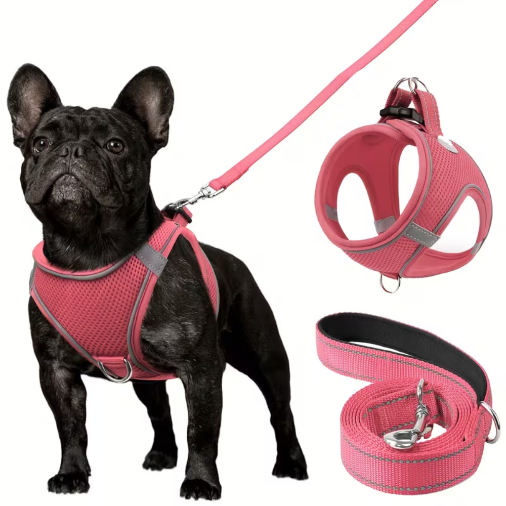Adjustable Dog Harness With Leash Set And Reflective TrimAdjustable Dog Harness With Leash Set - Image 11