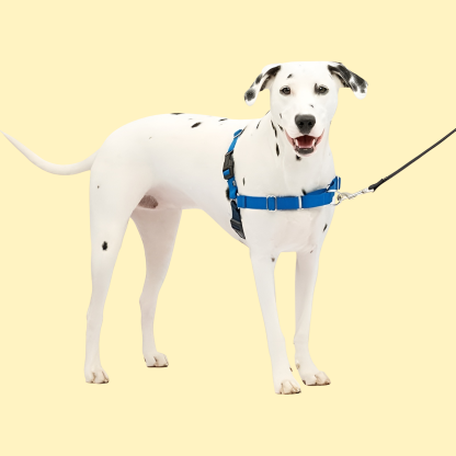 Easy Walk Dog Harness
