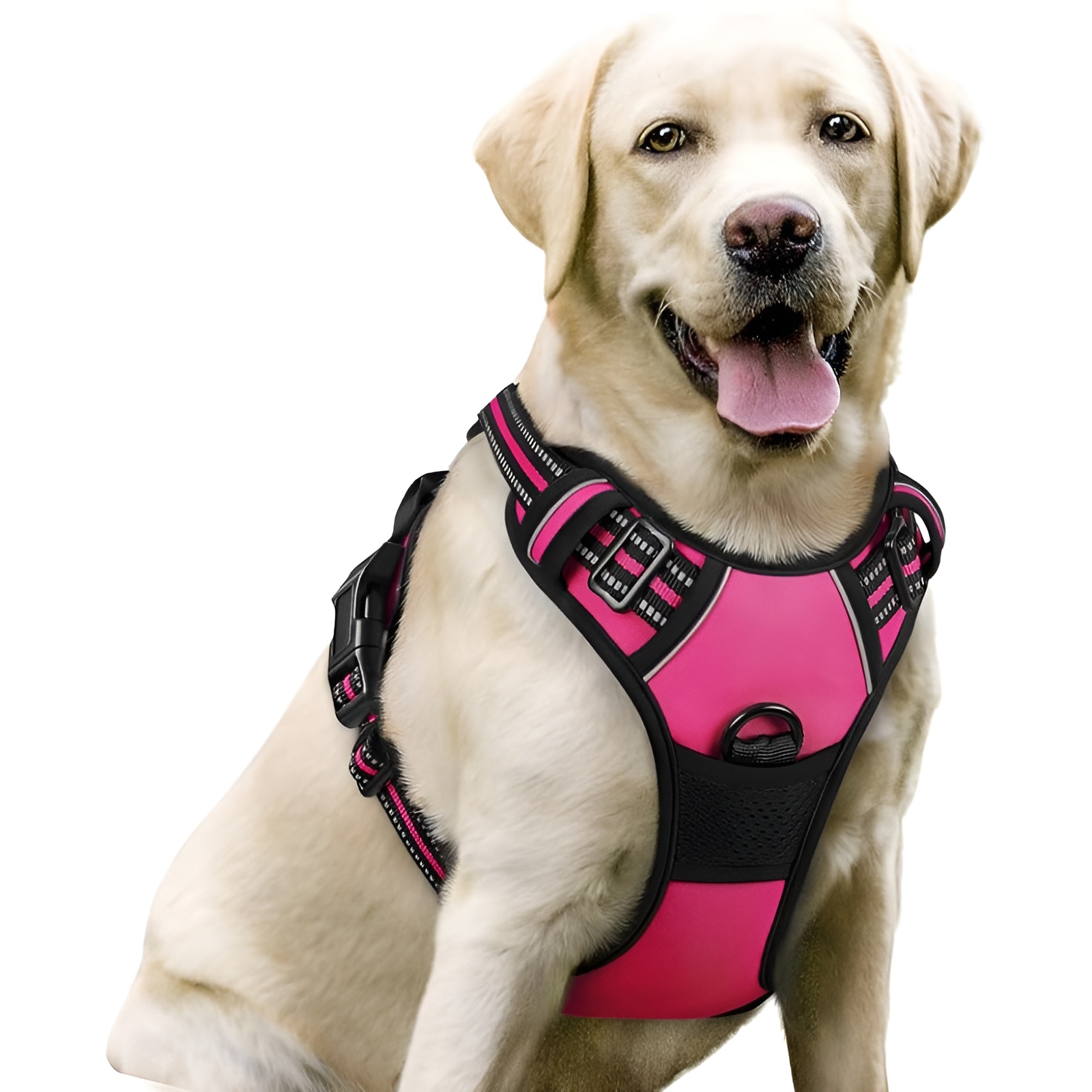 Dog Harness No Pull with 2 Leash ClipsDog Harness No Pull With 2 Leash Clips - Image 5