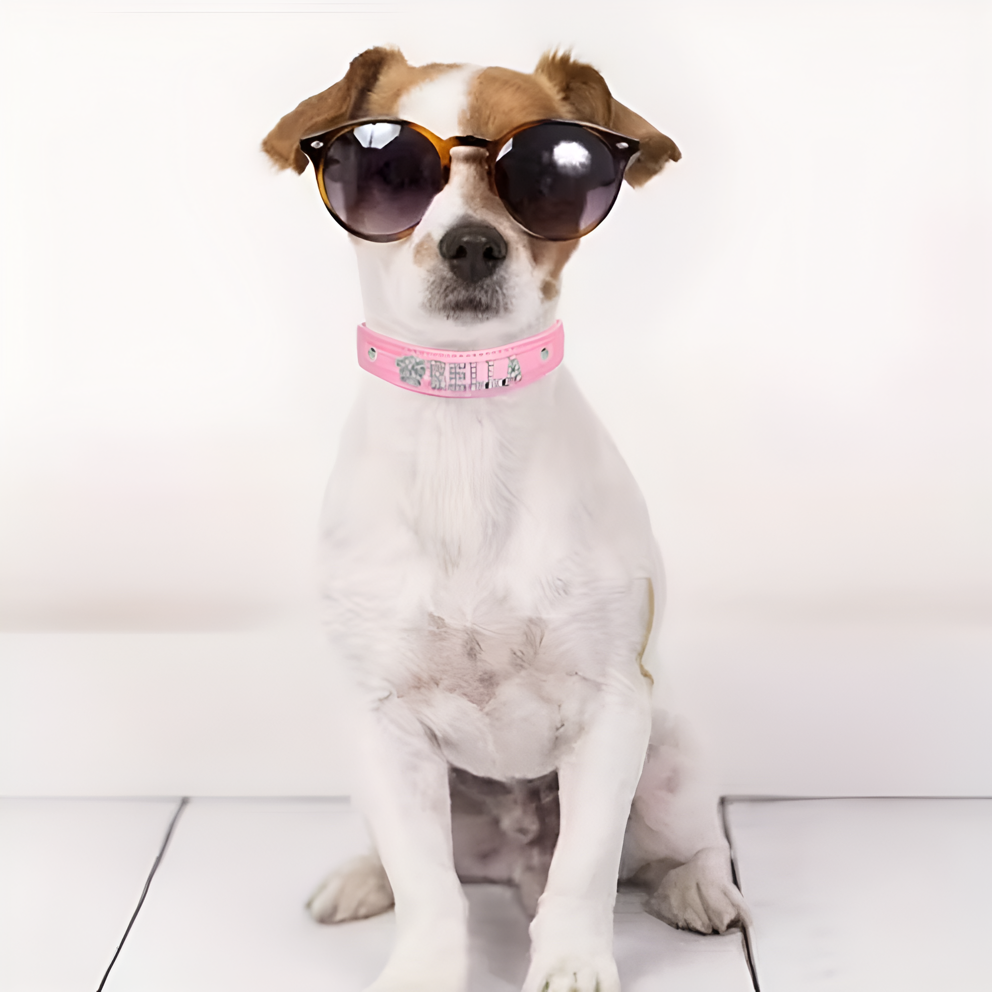 Custom Faux Leather Dog Collar With Rhinestone Design