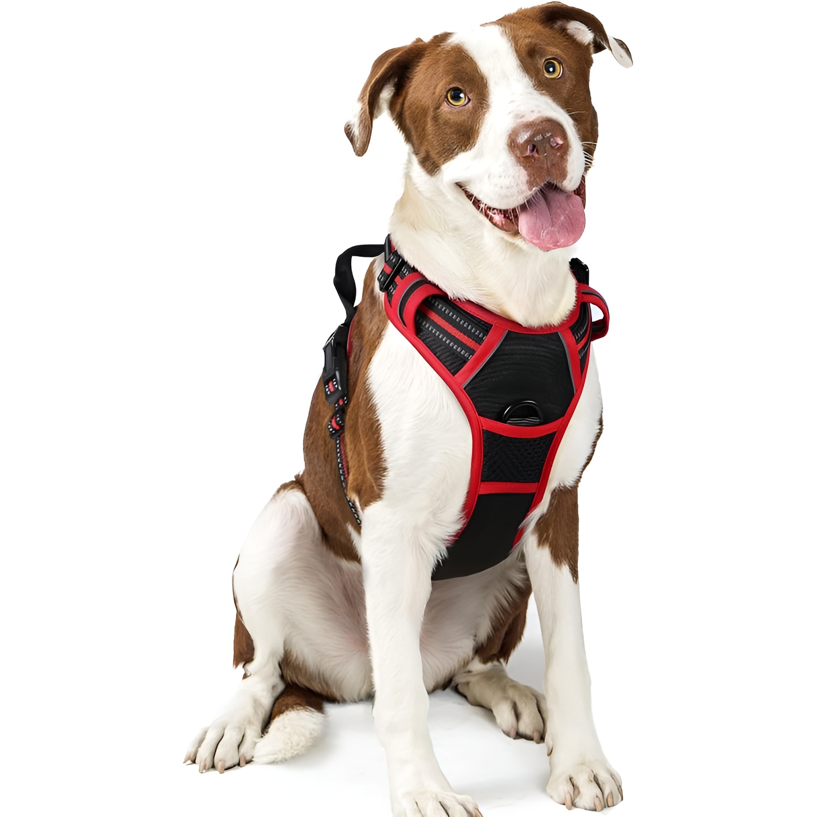 Dog Harness No Pull with 2 Leash ClipsDog Harness No Pull With 2 Leash Clips - Image 6