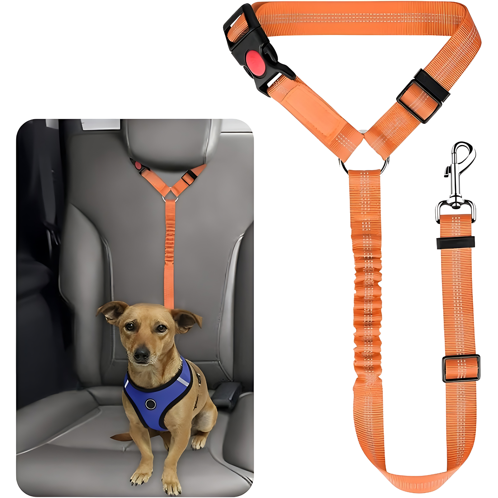 Pet Dog Cat Elastic Seat BeltsPet Dog Cat Elastic Seat Belts - Image 12