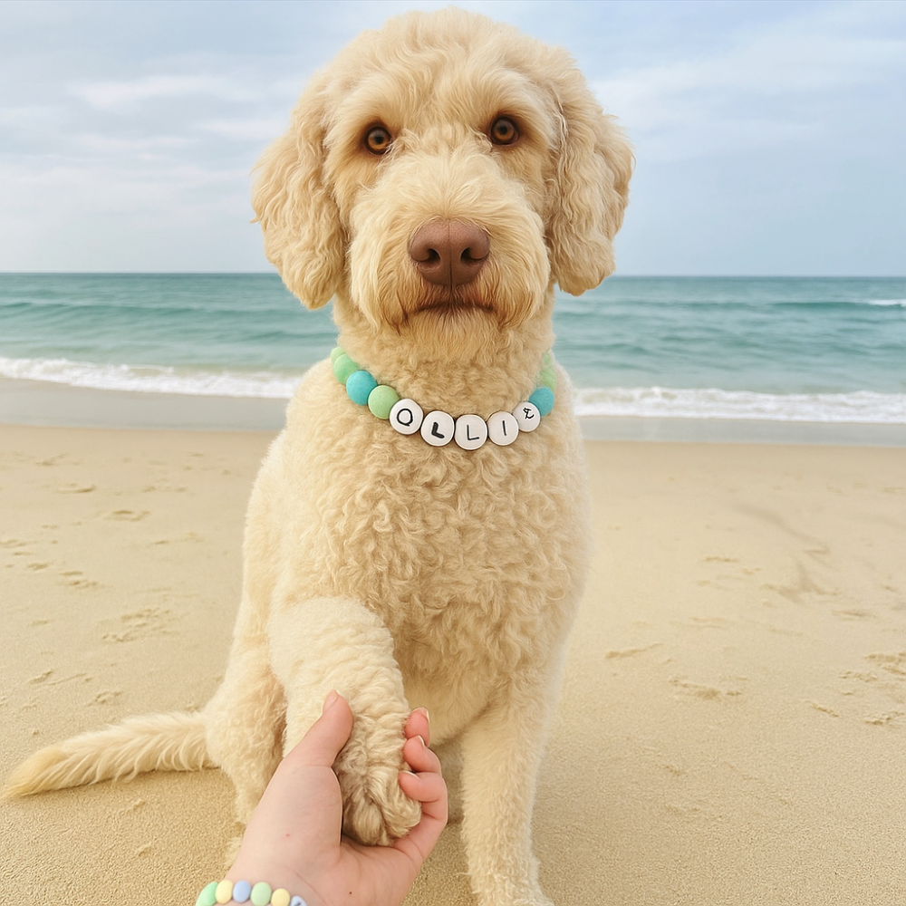 Dog Collar And Free Matching BraceletDog Collar And Free Matching Bracelet - Image 14