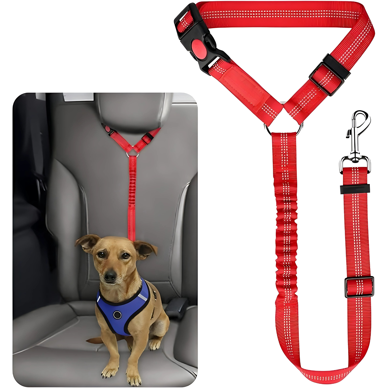 Pet Dog Cat Elastic Seat BeltsPet Dog Cat Elastic Seat Belts - Image 17