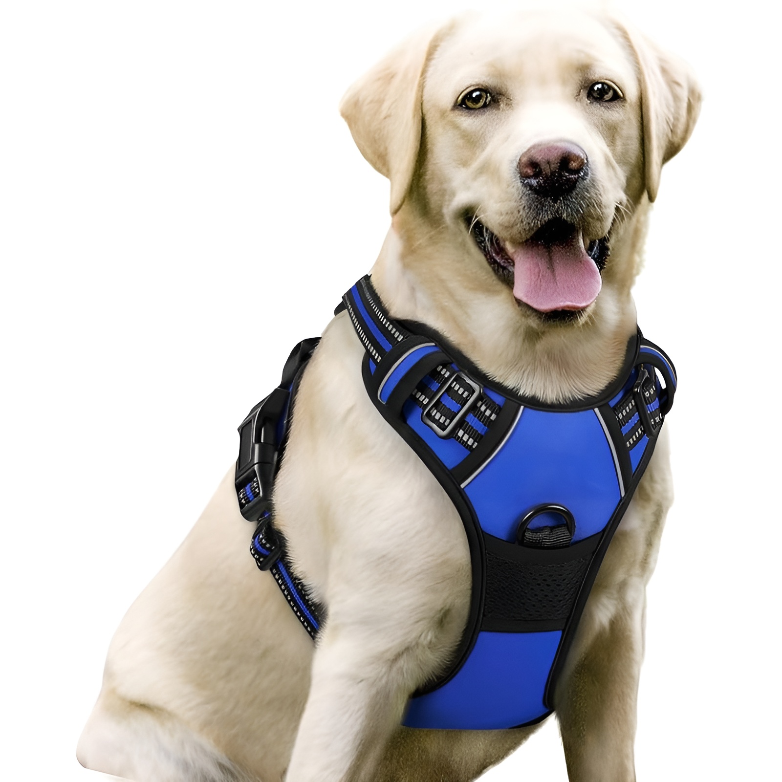Dog Harness No Pull with 2 Leash ClipsDog Harness No Pull With 2 Leash Clips - Image 8