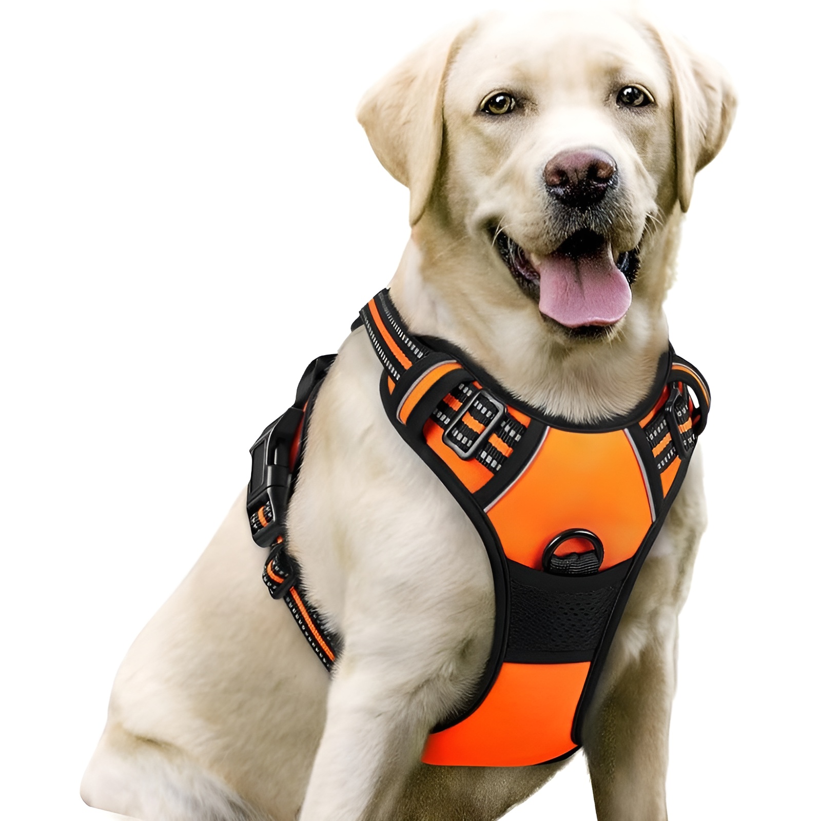 Dog Harness No Pull with 2 Leash ClipsDog Harness No Pull With 2 Leash Clips - Image 9