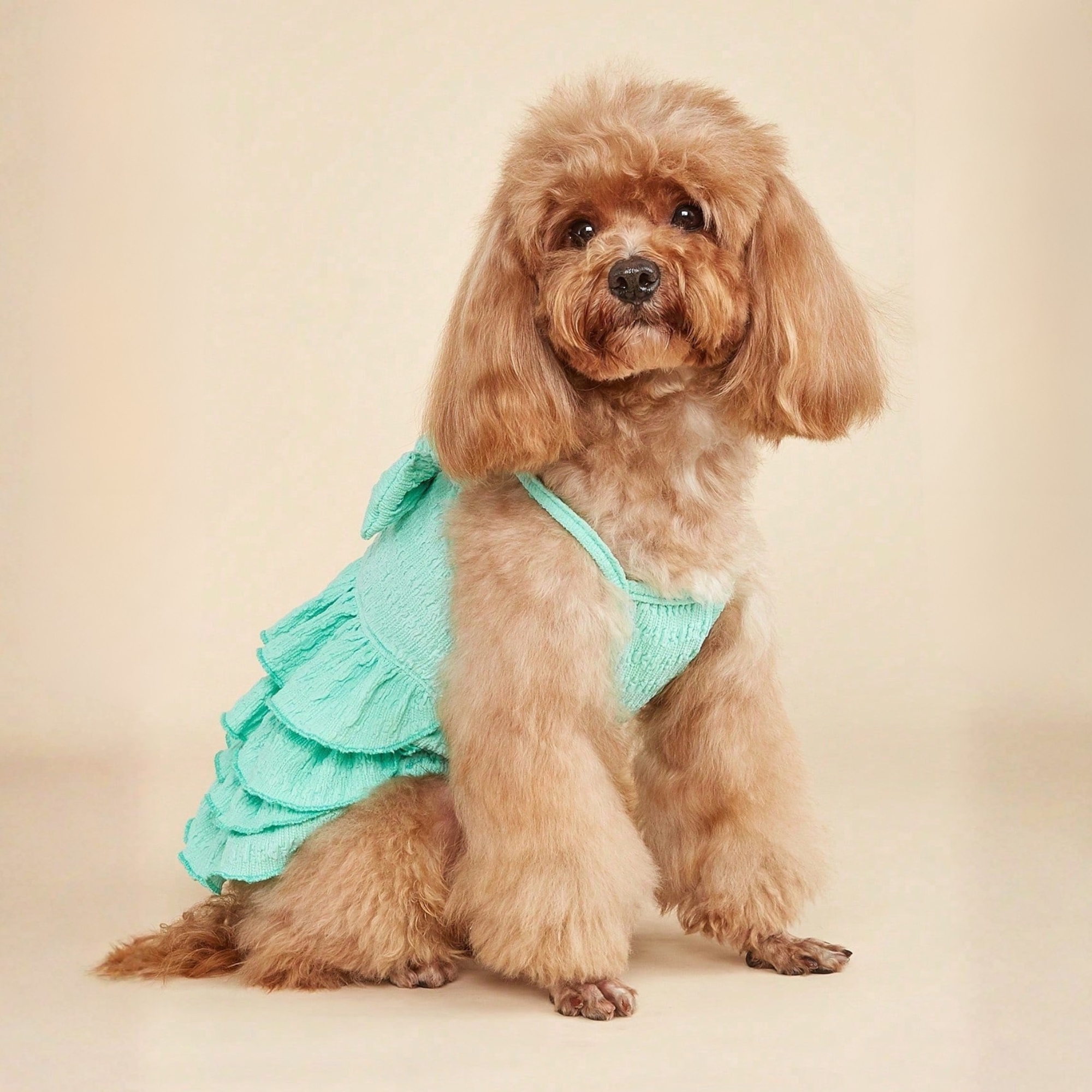 Candy Layered Pet Dress With Bow And Ruffle Soft Outfit