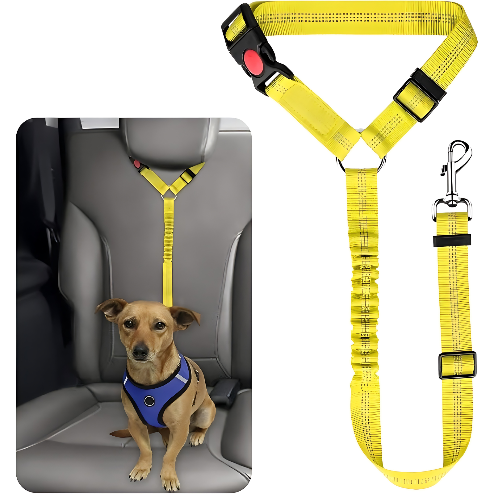 Pet Dog Cat Elastic Seat BeltsPet Dog Cat Elastic Seat Belts - Image 19