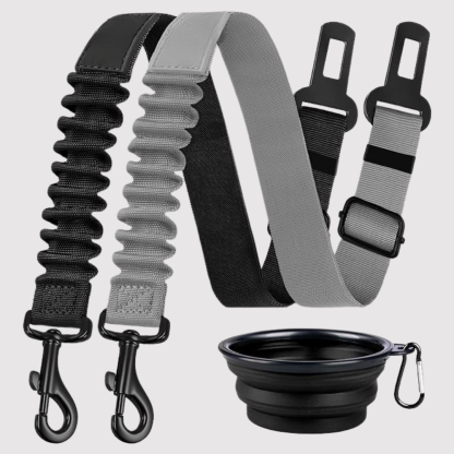 Dog Safety Seat Belt Pack Of 3