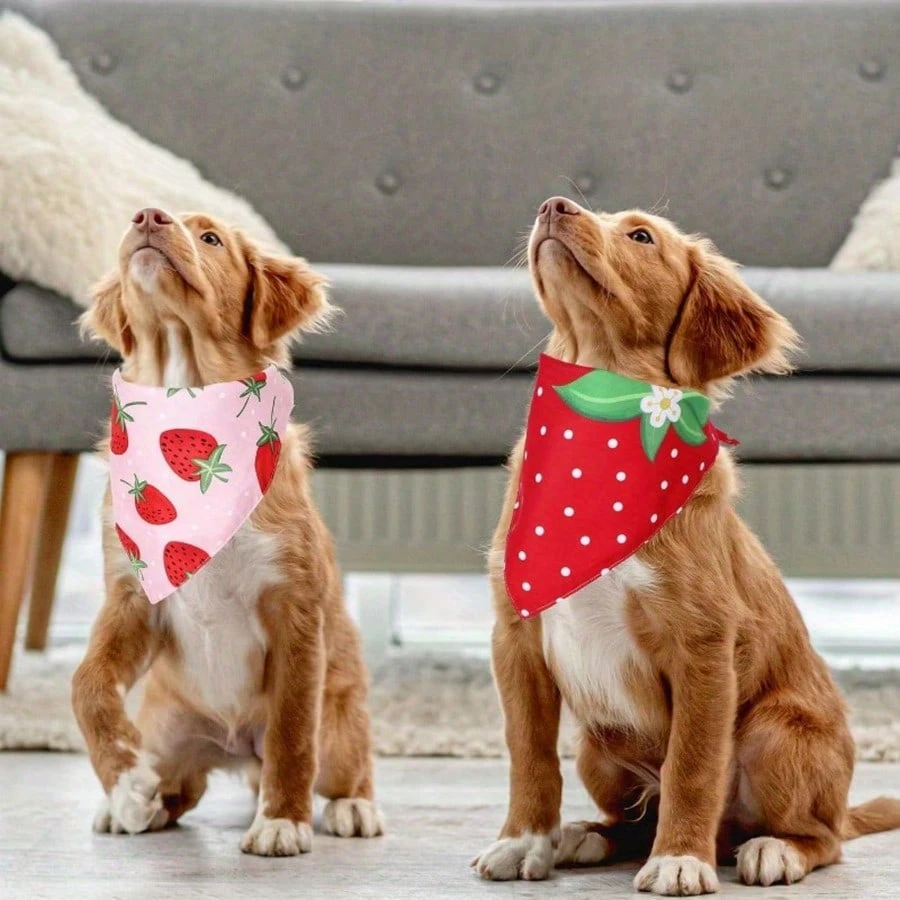 Set Of 2 Strawberry Themed Pet Bandana For Cats And Dogs 