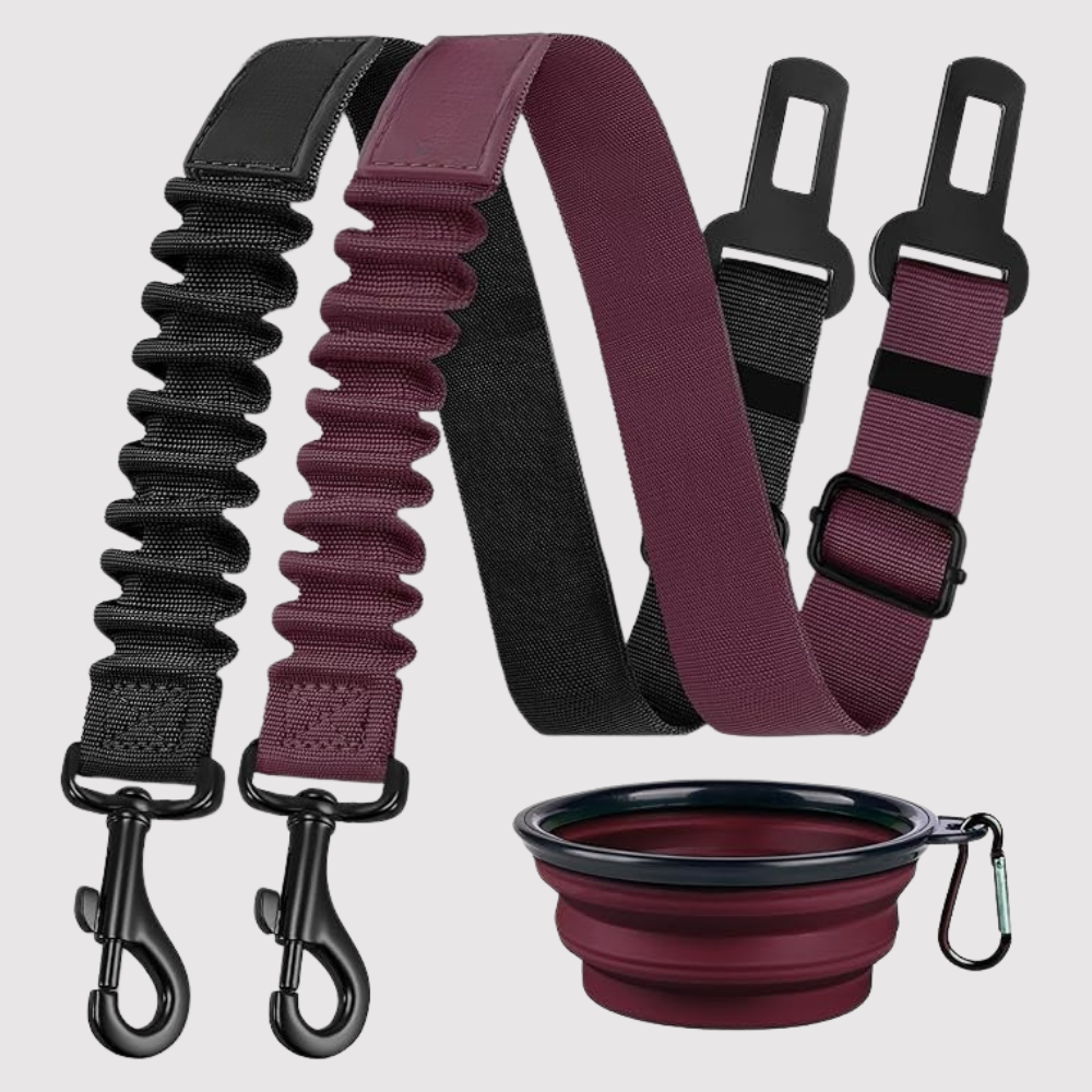 Dog Car Seat Harness Adjustable Nylon Seat Belt with Reflective Safety