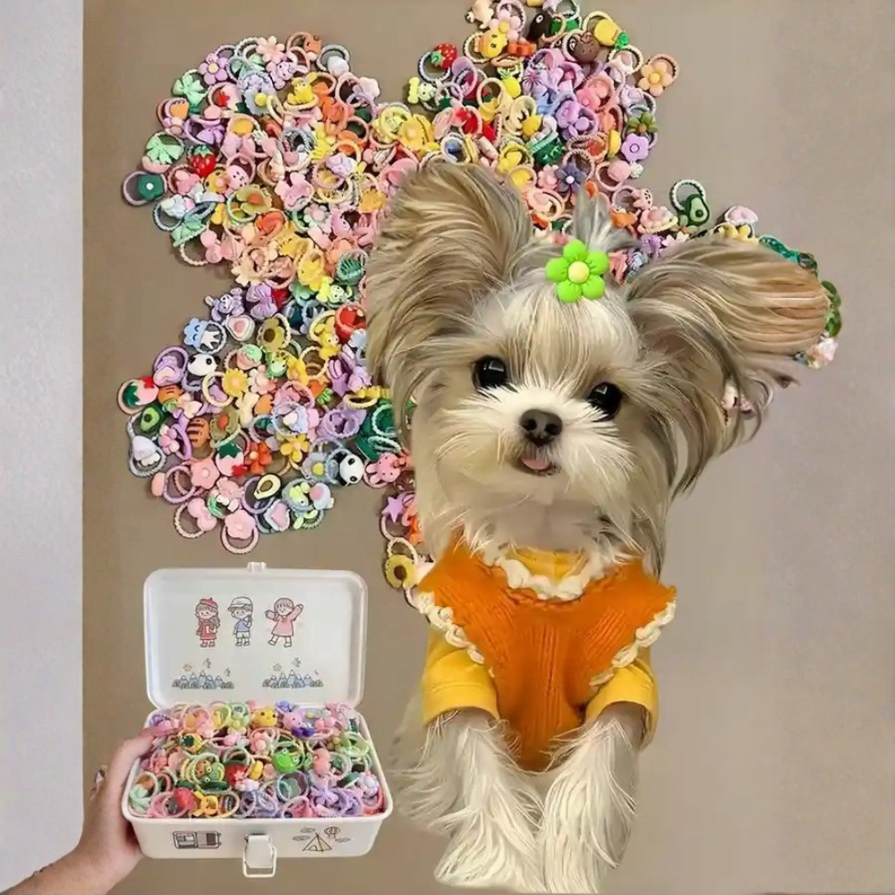Pet Hair Accessories Set With Flower Bow And Fruit Designs