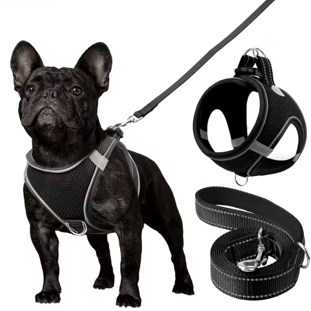 Adjustable Dog Harness With Leash Set And Reflective Trim