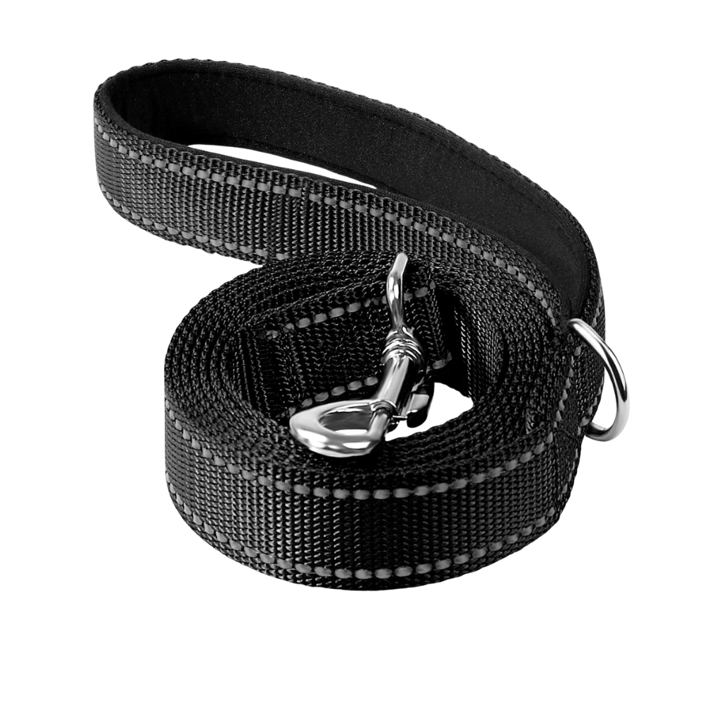 Narrow Double Sided Reflective Dog Leash