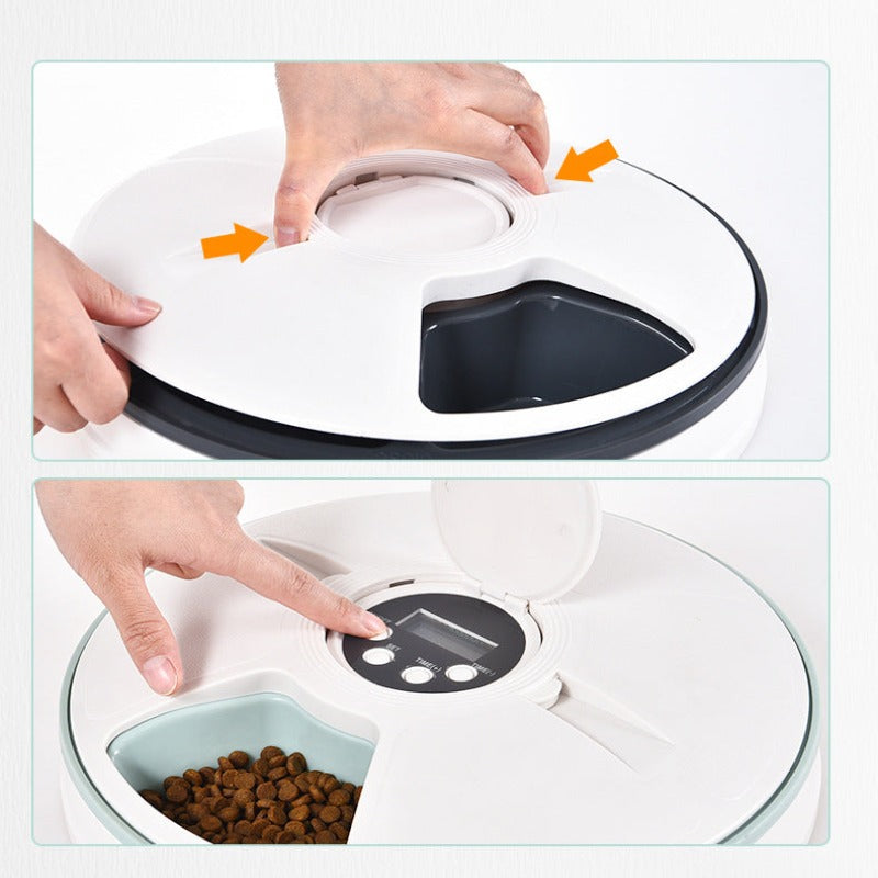 Stainless Steel Smart Timing Dog Food Feeder High Quality Durable Pet Accessory for Everyday Use — in use