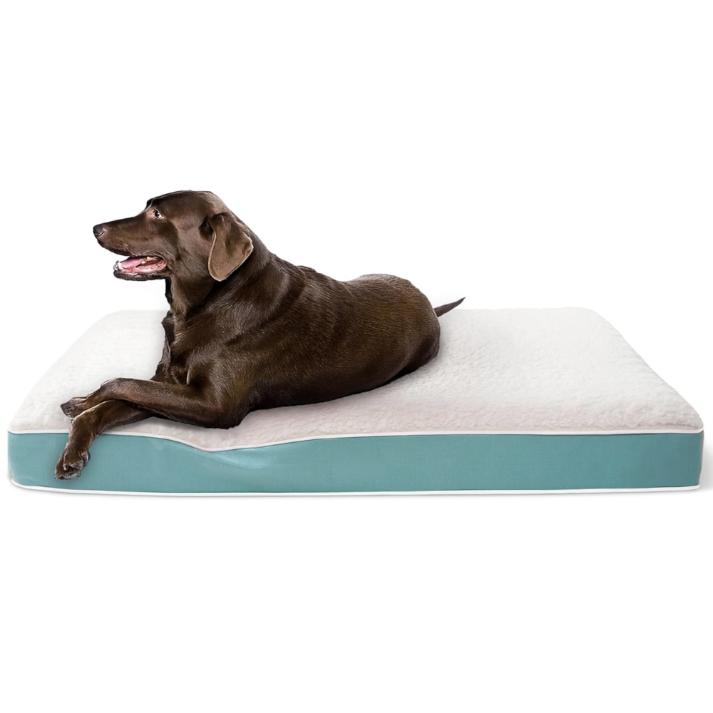 Orthopedic Waterproof Dog Bed With Washable CoverWaterproof Dog Bed With Washable Cover - Image 5