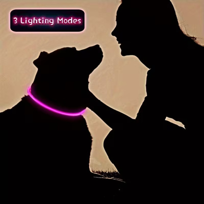 LED Dog Collar With Adjustable Light