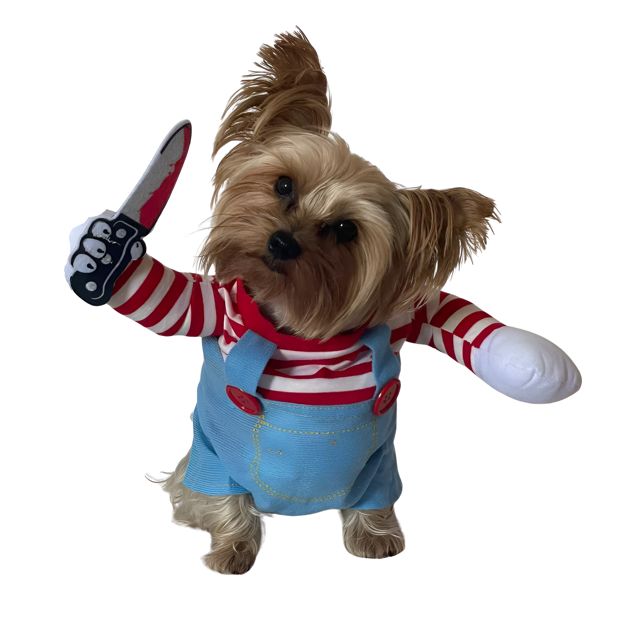 Funny Yorkie CostumeYorkie Halloween Dog Costume - Image 3