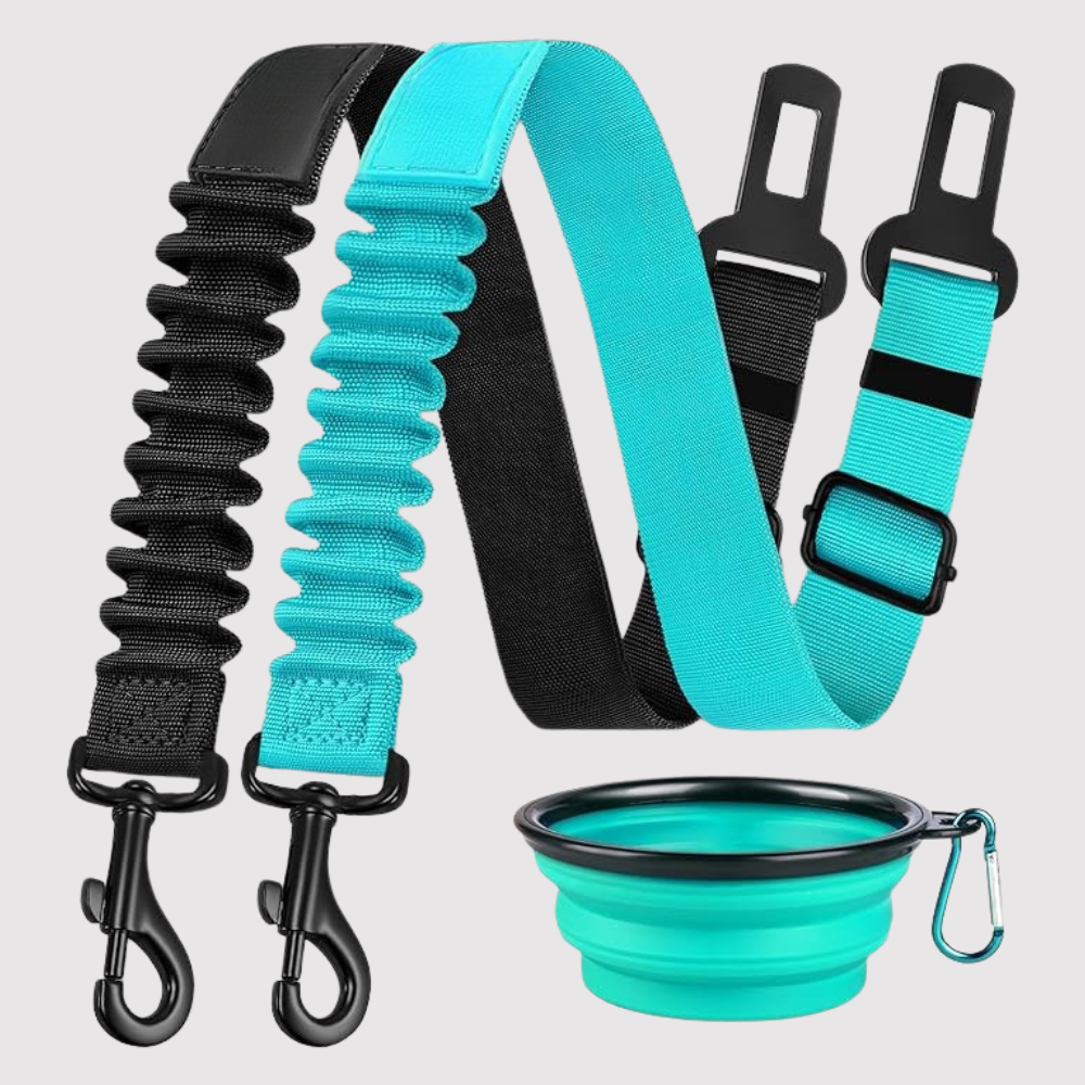 Dog Safety Seat Belt Pack Of 3