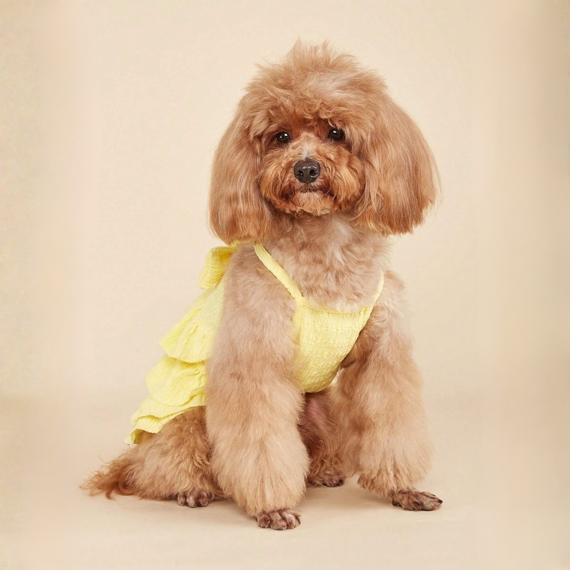 Candy Layered Pet Dress With Bow And Ruffle Soft Outfit