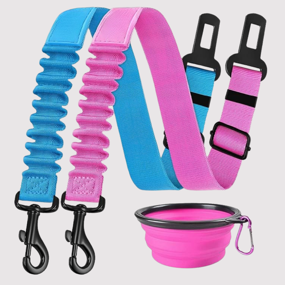 Dog Safety Seat Belt Pack Of 3