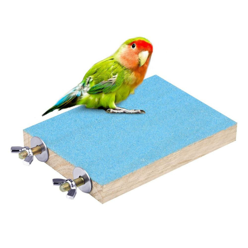 Wood Bird Swing Toy for Parrots Cockatiels and Budgies Cage Accessories for Mental Stimulation — in use