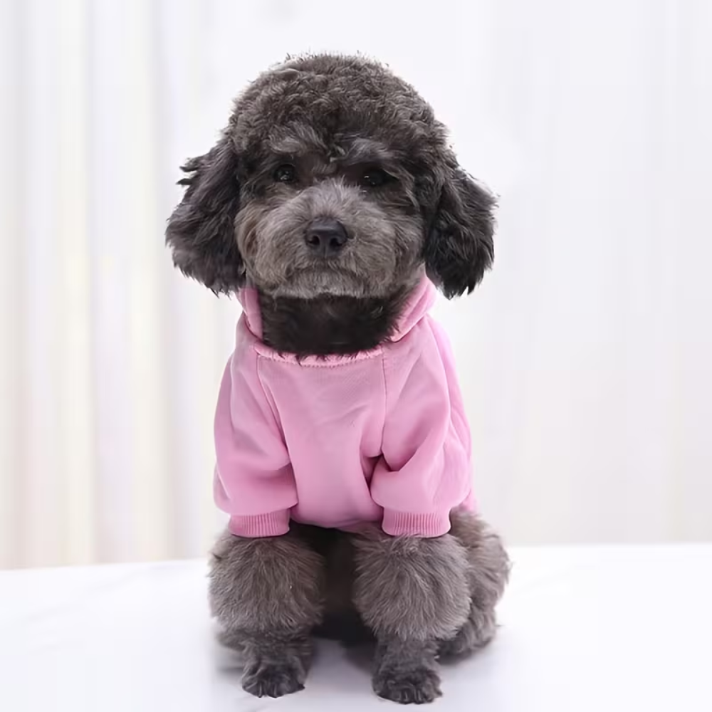 Soft Warm Dog Sweater for Small And Toy Breeds Winter KnitSoft Pullover Dog Sweater With Thick Knit Fabric For Winters - Image 2