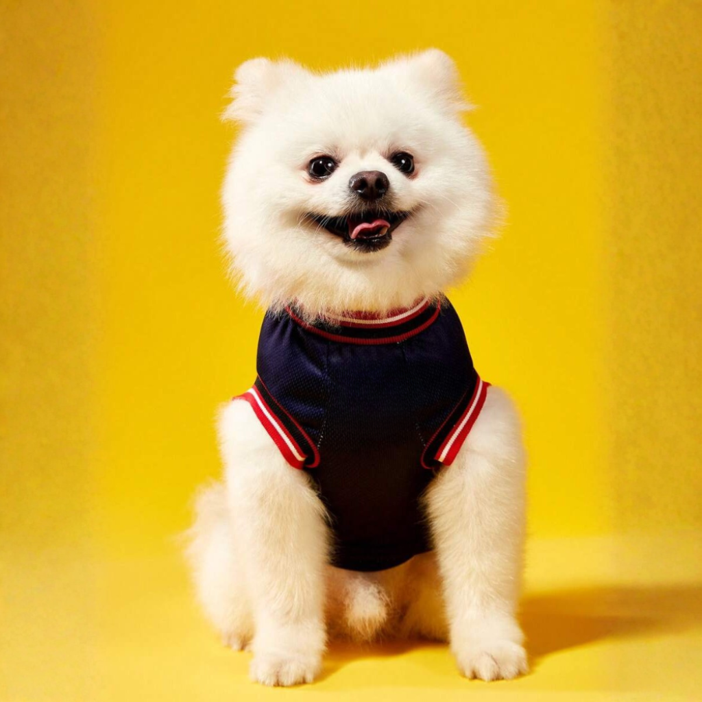 Structured Thermal Sporty National Pet Jersey