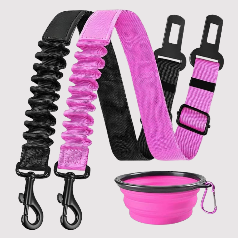 Dog Safety Seat Belt Pack Of 3