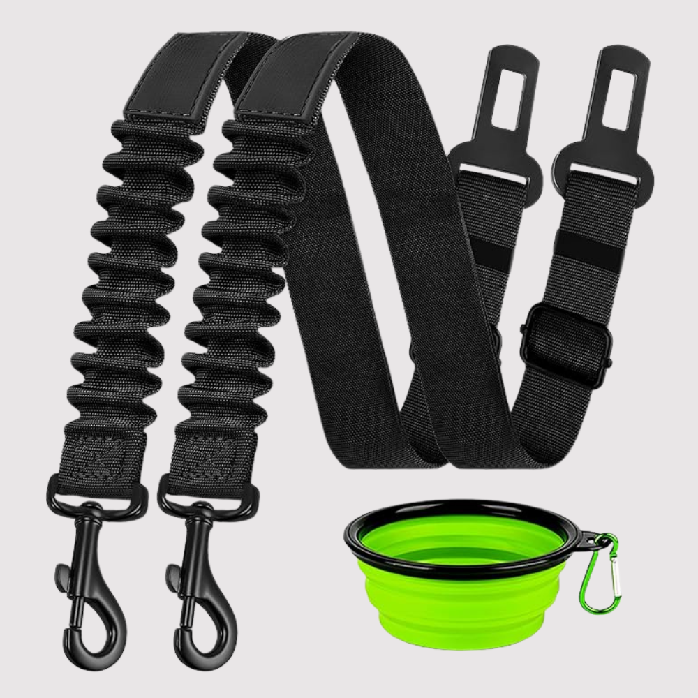 Dog Safety Seat Belt Pack Of 3