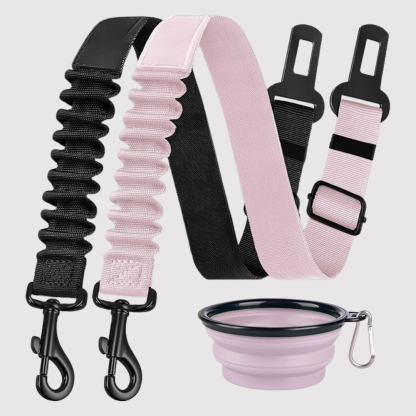 Dog Safety Seat Belt Pack Of 3