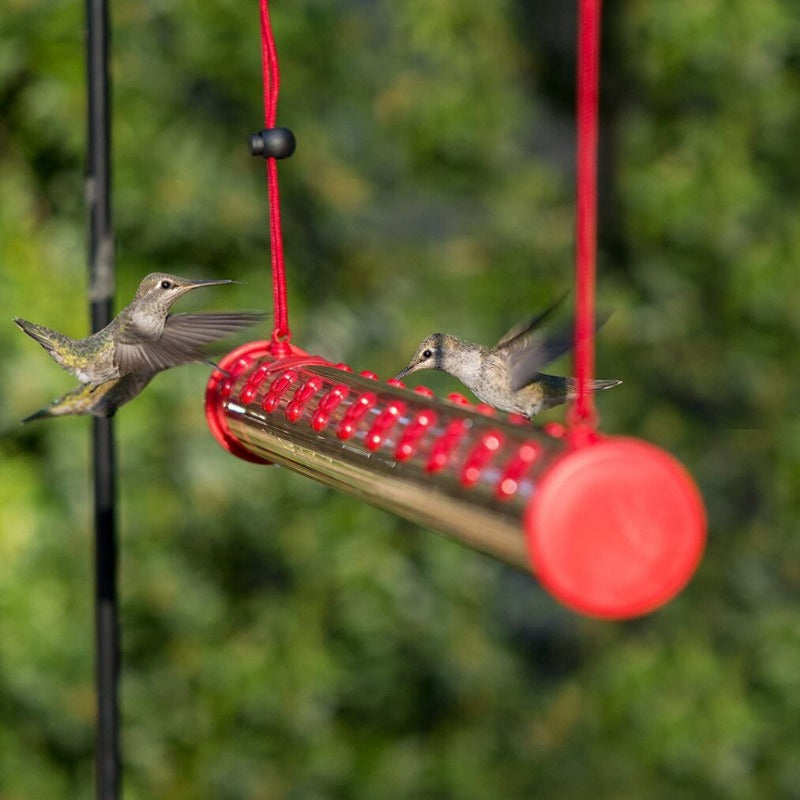 Colorful Bird Hanging Feeder for Wild Birds with Foldable Cage Accessories for Mental Stimulation — front view