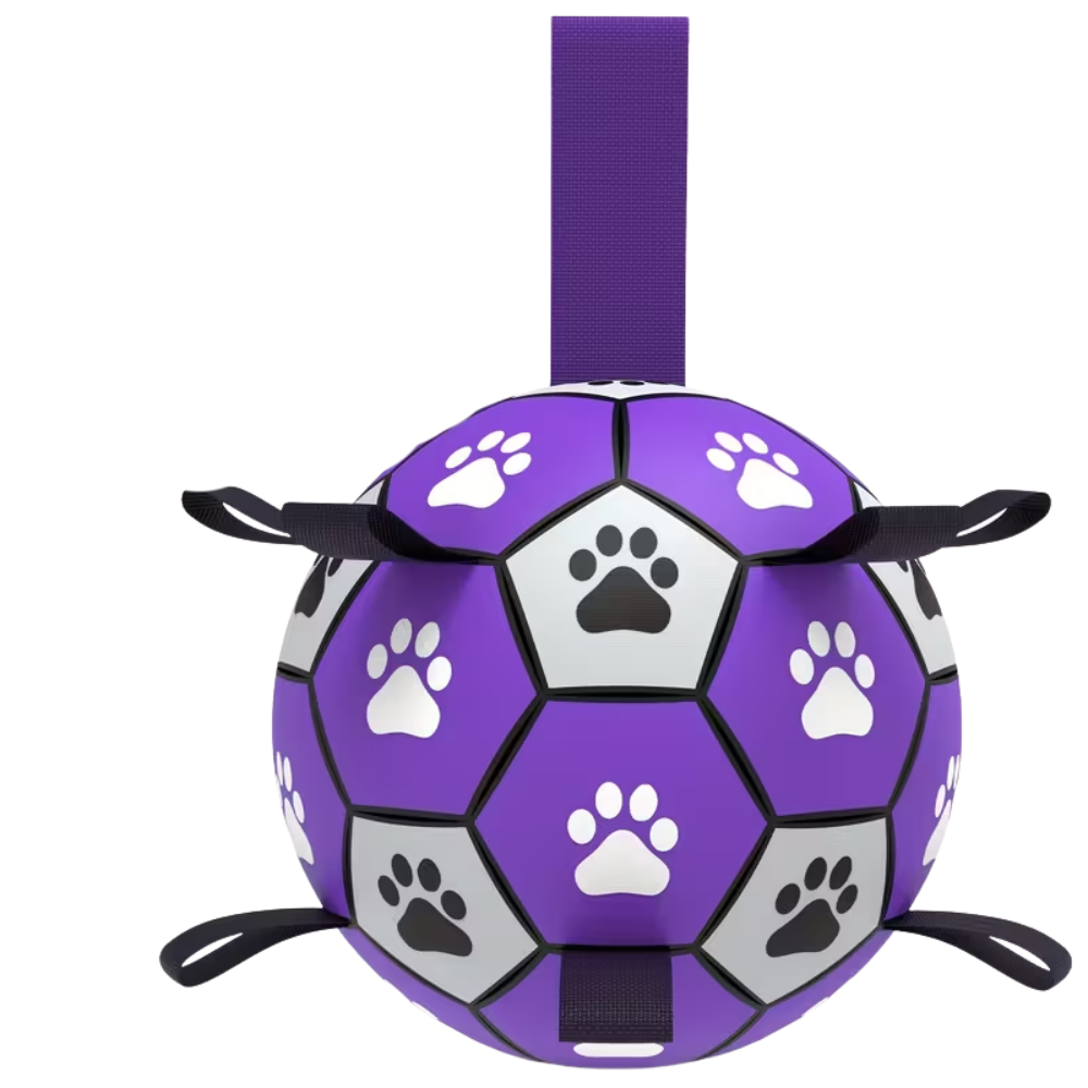 Chew Resistant Rubber Dog Ball With Paw Print Design