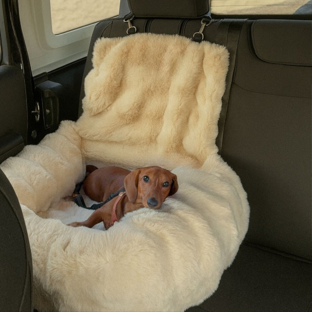 Luxurious Cozy Car Bed for Pets