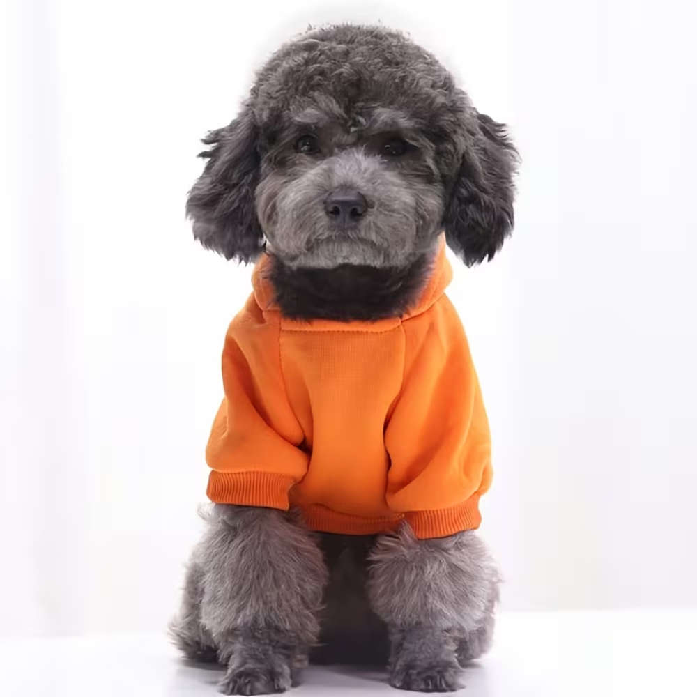 Soft Warm Dog Sweater for Small And Toy Breeds Winter KnitSoft Pullover Dog Sweater With Thick Knit Fabric For Winters - Image 5