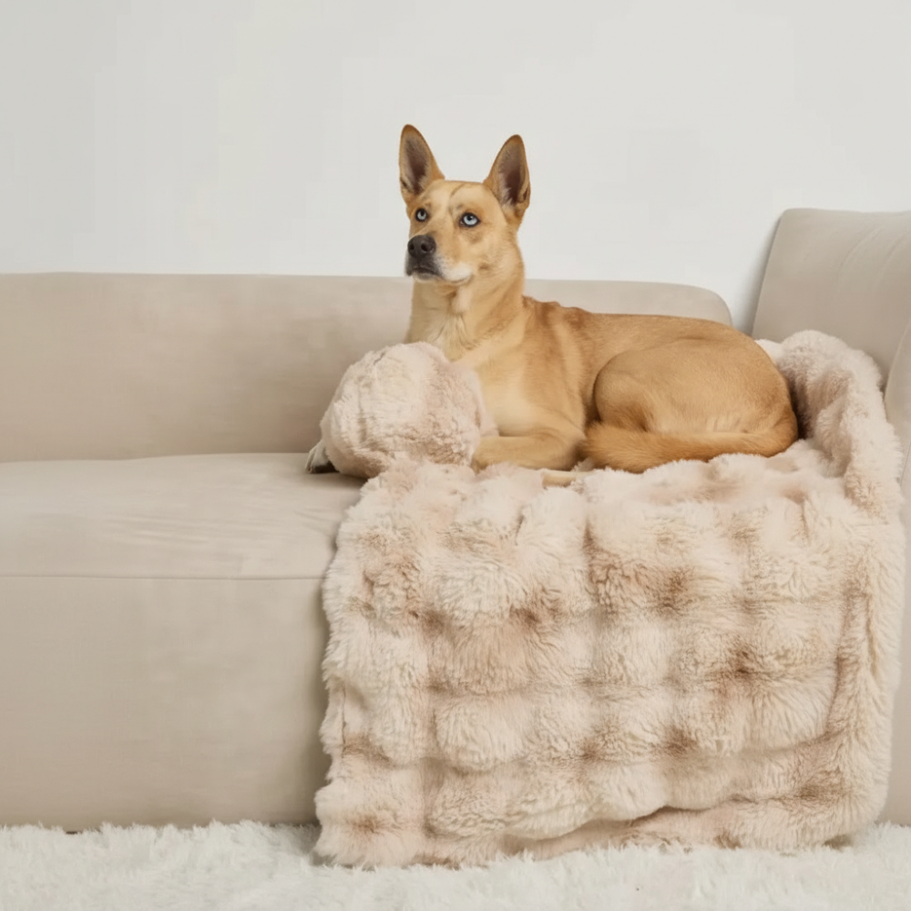  Dream Cloud Pet Sofa Bed